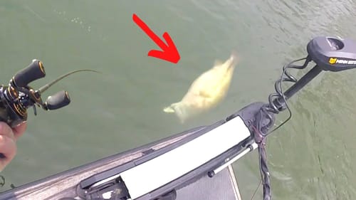 It’s UNREAL How Hard These BASS Hit My LURE