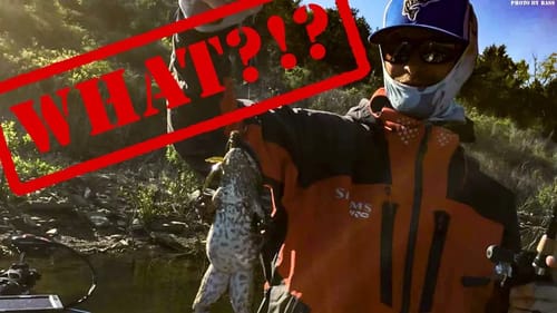 DON'T Fish SHALLOW or DEEP! How to Fish Mid-Depth for Bass