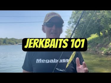 How To Fish A Jerkbait…For Beginners..(On The Water Demo)