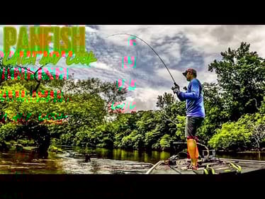 Using ULTRA LIGHT TACKLE to Catch Dinner!! || Panfish Catch and Cook