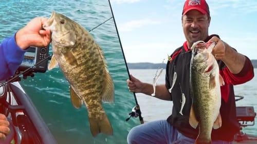 How to Rig and Fish Umbrella Rigs