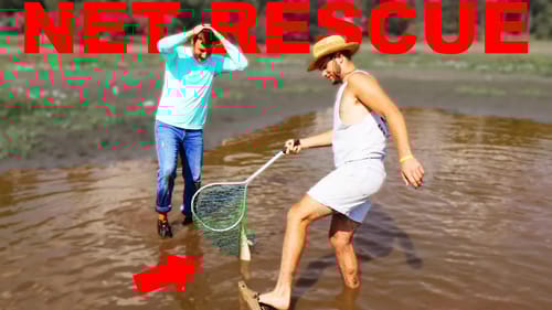Rescuing Big Fish With NET From MUD HOLE