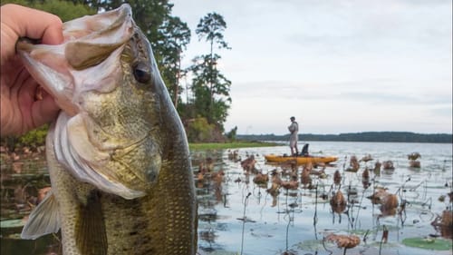 Fishing Adventure in the Wilderness