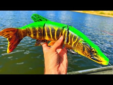 What MONSTER eats a 14 inch SWIMBAIT??! (New PB)