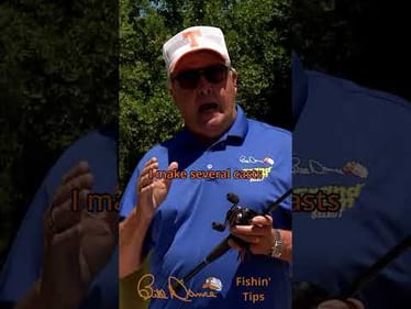What works for me when the fish aren’t biting...
