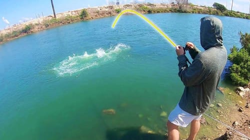 GIANT FISH in SALTWATER SPILLWAY!!