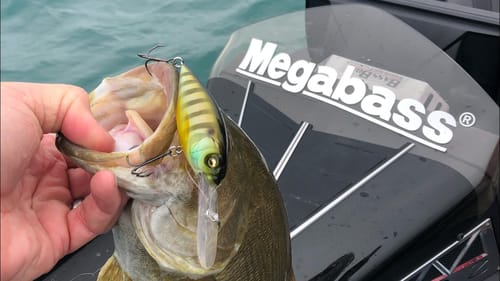 I Can’t Believe I’m Going To Tell You About This Prespawn Crankbait Retrieve…