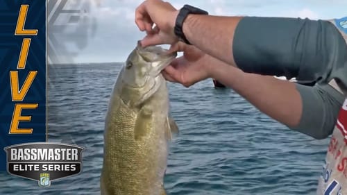 ST. CLAIR: Joey Cifuentes adds a 5 pounder to his starting limit