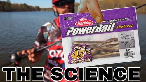 Why Does MaxScent Catch SO MANY BASS!?!