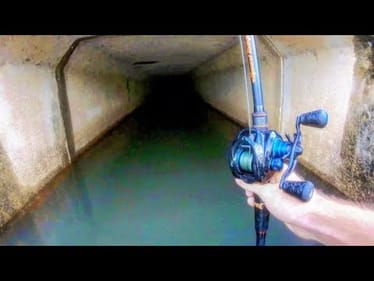 It took YEARS to CATCH THIS FISH!!