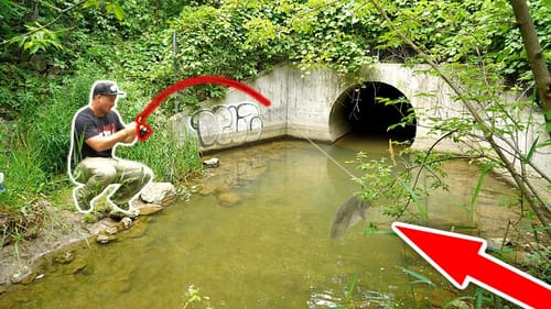 CAN'T BELIEVE What I Found MICROFISHING this Tiny Spillway!!