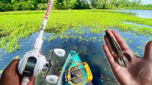 Punching Thick Grass Mats For Big Bass (Catching My First Punching Fish!)