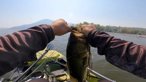 Summer Frog Fishing at Clear Lake