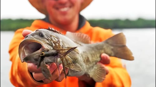 Catching Smallmouth Bass in the SPRING on Table Rock Lake!