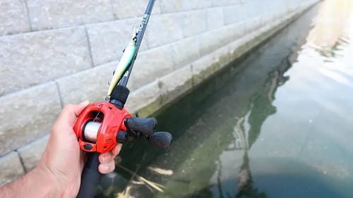 Catching HUGE Bass While Lake Fishing 70ft DEEP Bluff Walls
