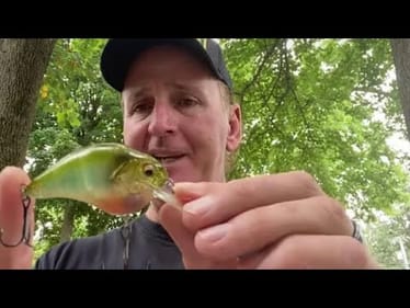 The Best Bank-Fishing Video On YouTube