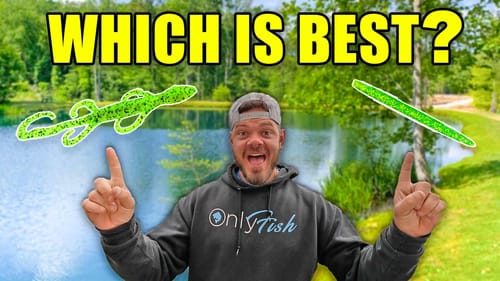 1v1 Lizard vs Worm Bed Fishing Challenge!