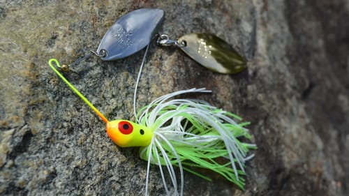 Lake Mismanagement, Crankbait Tips, Why Bass Hit Spinnerbaits, and More | Bass Fishing