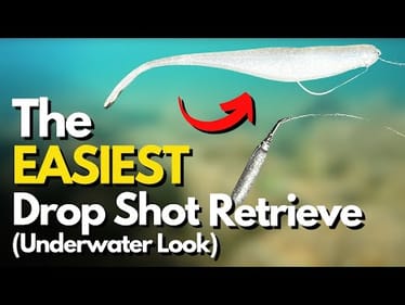 The MOST Effective Retrieve for a Drop Shot Rig (Underwater Look)