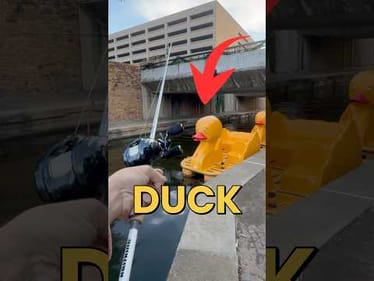 Can we catch a fish from under a Duck Boat? #fishingvideos #fishing