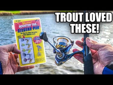Pond Trout LOVED this Lure (Beginner Trout Fishing)