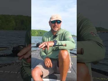 Fishing the Shad Spawn? Use These Baits! #bassfishing #fishingtips #fishingdaily