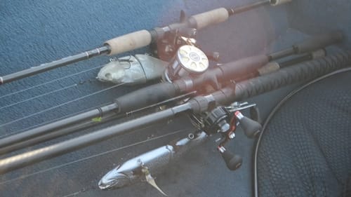 How To And Boat Positioning With Big Swimbaits!