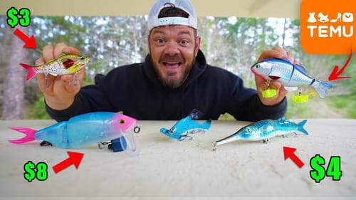 We Bought Temu's CRAZIEST Swimbaits!