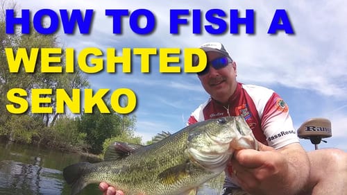 How To Fish Texas Rigged Senkos | Bass Fishing