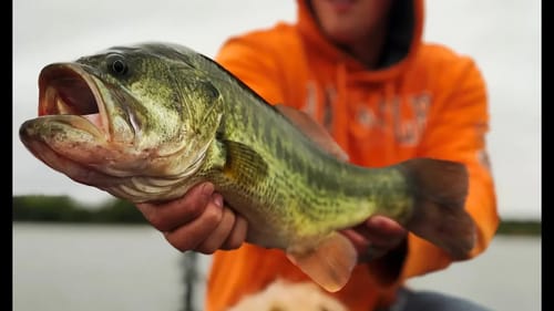Catching FALL Bass In Cold Front Conditions! Best Lures