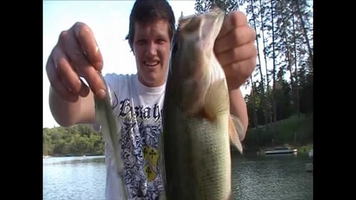 Osprey Tournament Talon Swimbaits