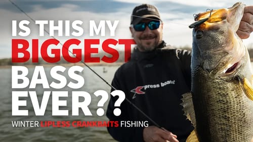 Lipless Crankbait Fishing - Is this my BIGGEST Bass EVER?!