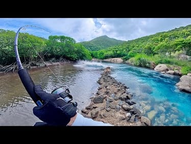 Solo Island Camping Adventure – Paddle Boarded to a Secret Creek & Landed the Fish of My Life!