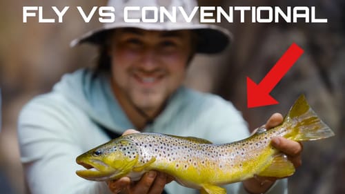 Is This The BEST Way To Catch TROUT!? Comparing Fly Fishing To Conventional Fishing!