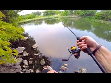 The Easiest Fish is The HARDEST to Catch