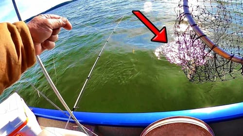 I CAN'T BELIEVE WHAT WE CAUGHT!!! I Had To HANDLINE It In!
