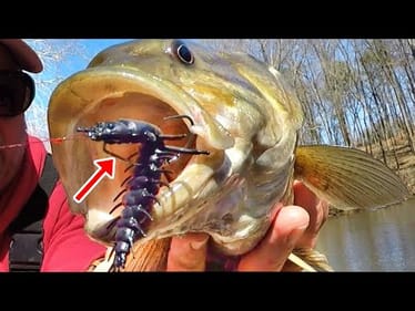 Creek Monster Couldn't Resist! Deadly Bait For Creek Fishing