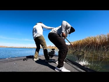 Bass Blowout At Martinez Lake: Lower Colorado River Delivers!