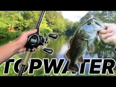TOPWATER Fishing For Early MORNING BASS! (Pond Fishing)