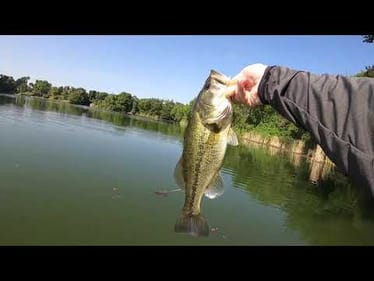 Wide Open Summer Bassin' (Bass in the Grass!)