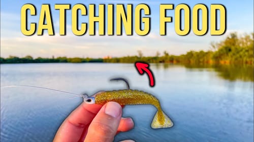 Catching Lunch From the River {Catch, Clean and Cook}