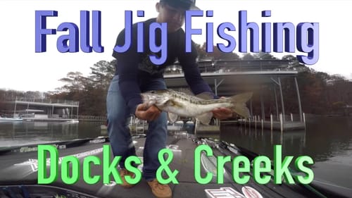 Fall Jig Fishing Docks and Laydowns ~ Tips and Bass Action