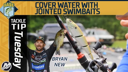 Covering shallow water fast with a jointed swimbait