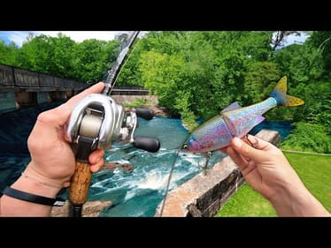 Pond Hopping URBAN Honey Holes For BASS! (Swimbait Fishing)
