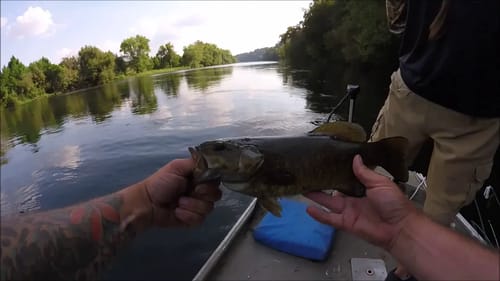 Another FIRE day on the RIVER  || SMALL MOUTH BASS FISHING||