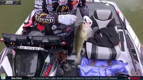 2020 Bassmaster LIVE at St. Johns River - Saturday