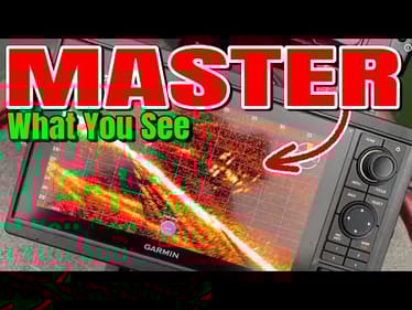 LIVE SCOPE FOR BEGINNERS