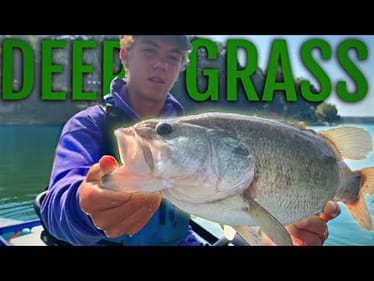 Fishing for GIANT SCHOOLS of BASS out DEEP! (Every cast)