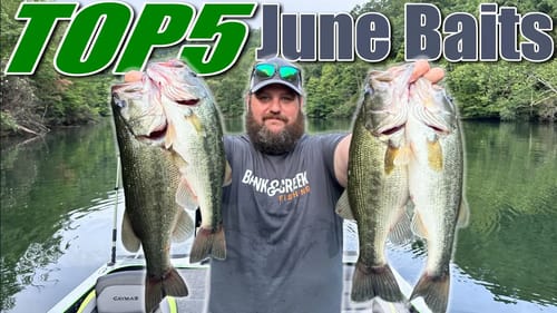 Don't Be a DRAG Have a FUN Fishing These Top 5 June Baits