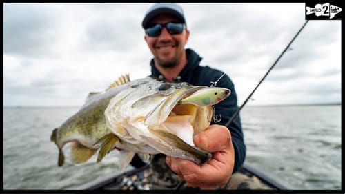 6 Lipless Crankbait Tips | Late Winter and Prespawn Bass
